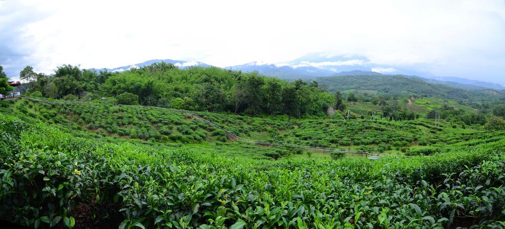 Sabah Tea Resort 라나우 외부 사진