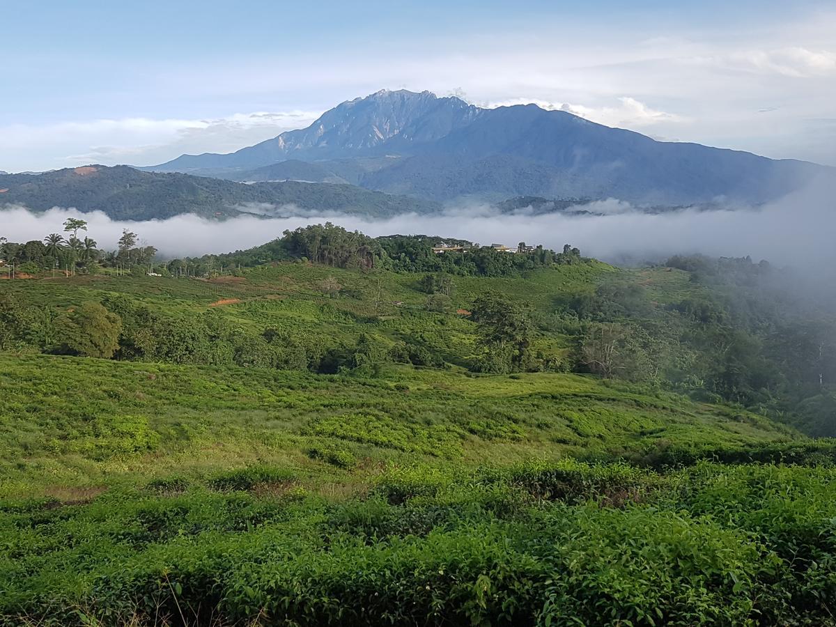 Sabah Tea Resort 라나우 외부 사진