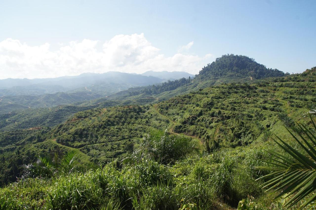 Sabah Tea Resort 라나우 외부 사진
